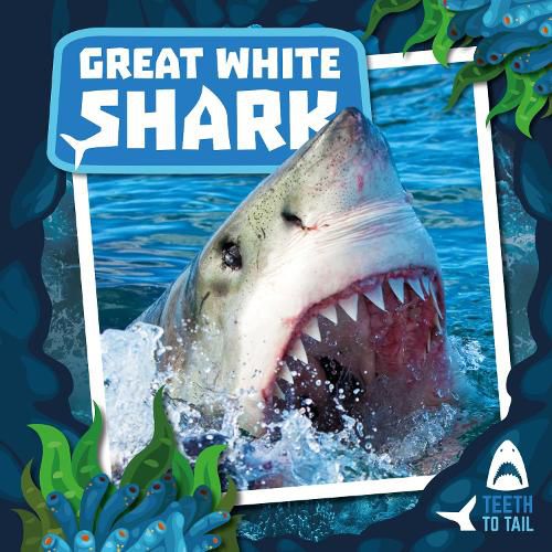 Cover image for Great White Shark