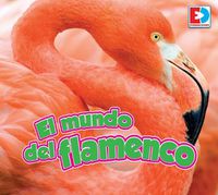 Cover image for El Mundo del Flamenco