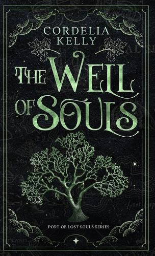 Cover image for The Well of Souls