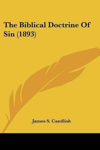 Cover image for The Biblical Doctrine of Sin (1893)