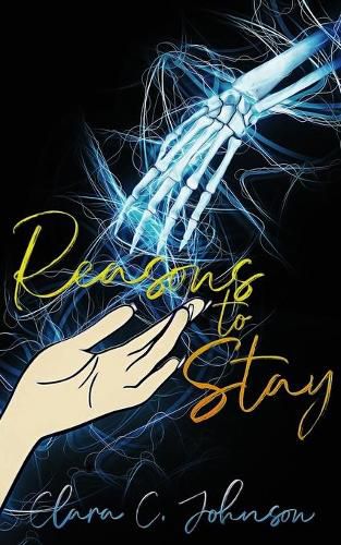 Cover image for Reasons to Stay