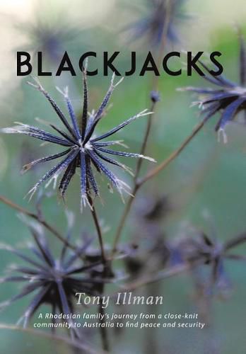 Cover image for Blackjacks: A Rhodesian Family's Journey from a Close-Knit Community to Australia to Find Peace and Security