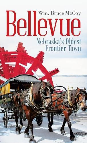 Cover image for Bellevue