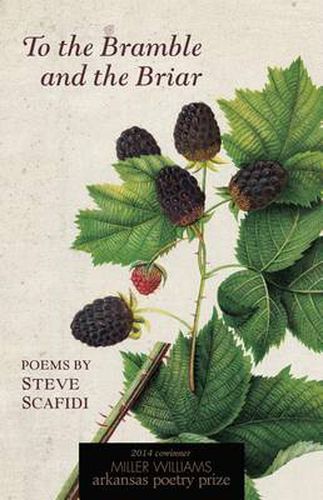 Cover image for To the Bramble and the Briar: Poems