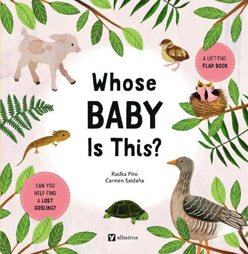 Cover image for Whose Baby Is This?