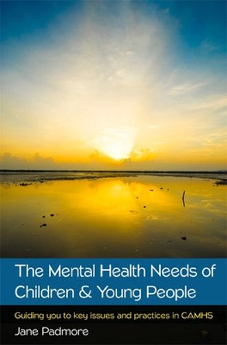 Cover image for The Mental Health Needs of Children & Young People: Guiding you to key issues and practices in CAMHS