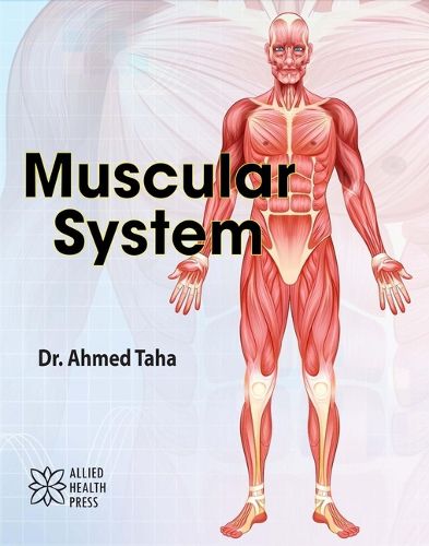 Cover image for Muscular System