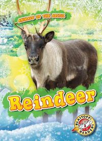 Cover image for Reindeer