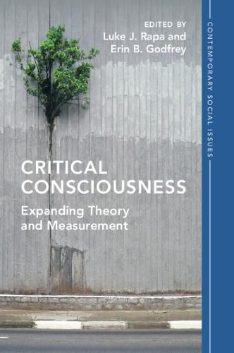 Cover image for Critical Consciousness