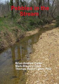 Cover image for Pebbles in the Stream