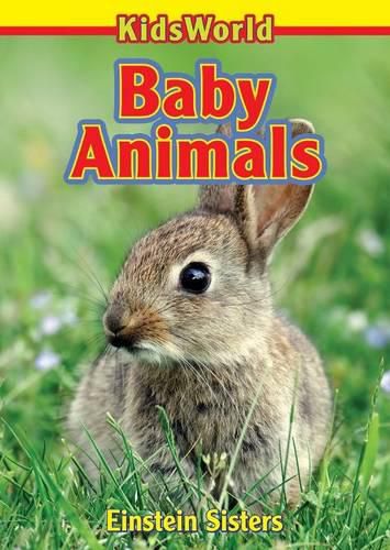 Cover image for Baby Animals