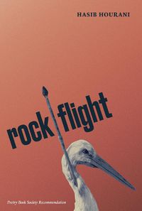 Cover image for rock flight