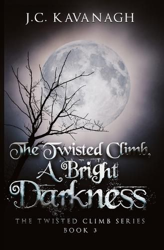 Cover image for A Bright Darkness