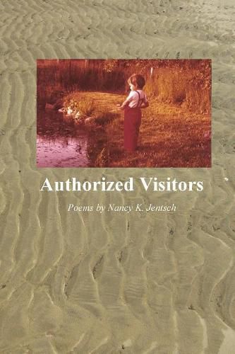 Cover image for Authorized Visitors