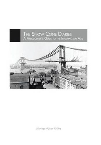 Cover image for The Snow Cone Diaries