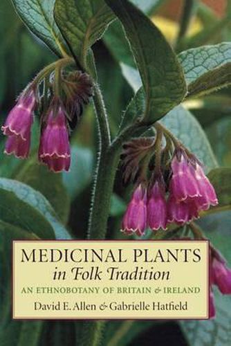 Cover image for Medicinal Plants in Folk Tradition
