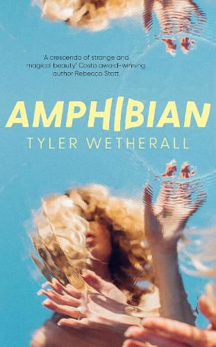 Cover image for Amphibian