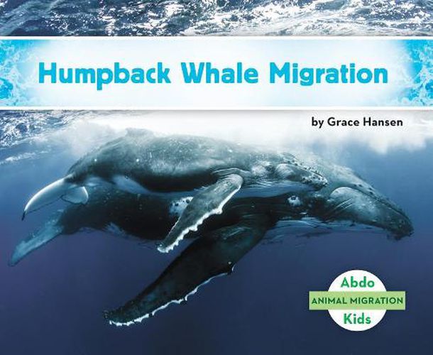 Cover image for Humpback Whale Migration