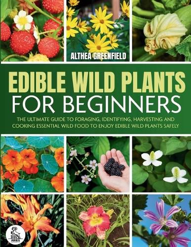Cover image for The Complete Guide To Edible Wild Plants For Beginners