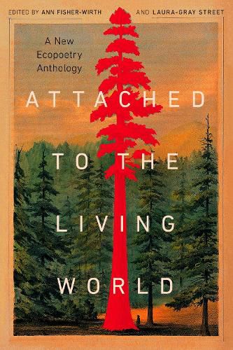 Attached to the Living World