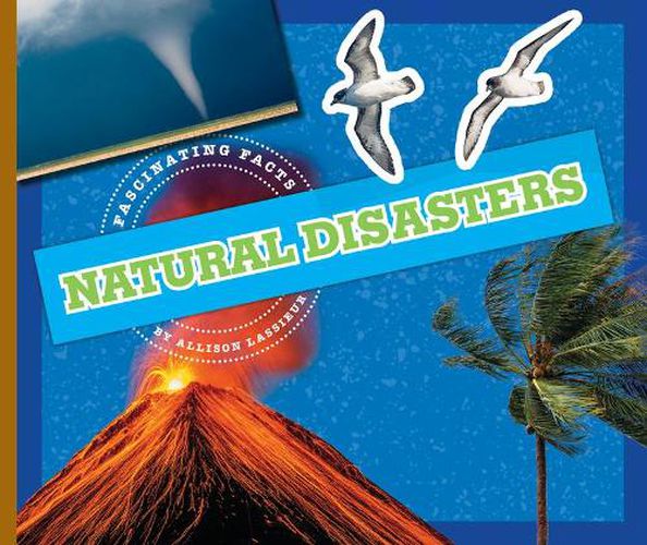 Cover image for Natural Disasters