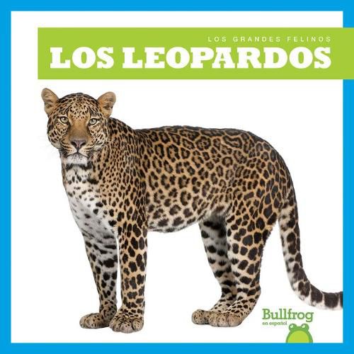 Cover image for Los Leopardos (Leopards)