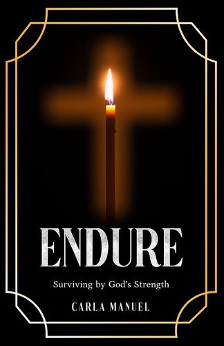 Cover image for Endure