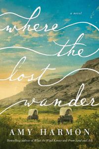 Cover image for Where the Lost Wander: A Novel