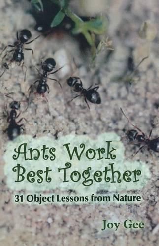 Cover image for Ants Work Best Together: 31 Object Lessons from Nature