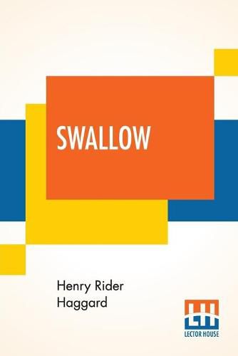 Cover image for Swallow: A Tale Of The Great Trek