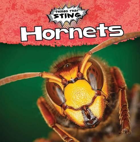 Cover image for Hornets