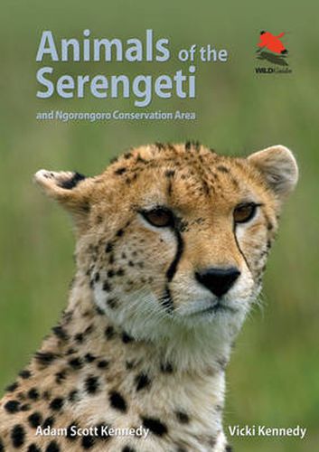 Cover image for Animals of the Serengeti: And Ngorongoro Conservation Area