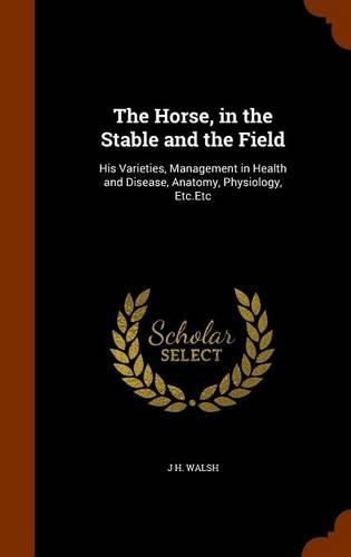 The Horse, in the Stable and the Field: His Varieties, Management in Health and Disease, Anatomy, Physiology, Etc.Etc