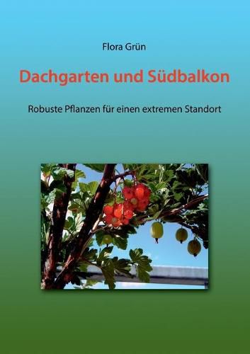 Cover image for Dachgarten und Sudbalkon: Robuste Pflanzen fur einen extremen Standort