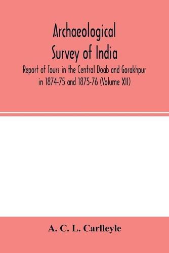 Cover image for Archaeological survey of india, Report of Tours in the Central Doab and Gorakhpur in 1874-75 and 1875-76 (Volume XII)