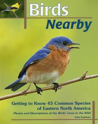 Cover image for Birds Nearby: Getting to Know 45 Common Species of Eastern North America