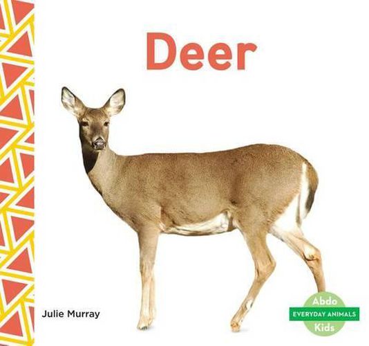 Cover image for Deer