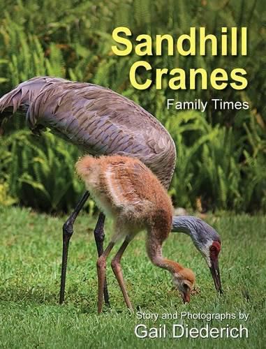 Cover image for Sandhill Cranes, Family Times