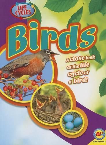 Cover image for Birds