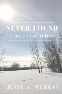 Cover image for Never Found