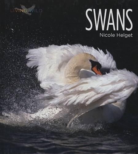 Cover image for Swans