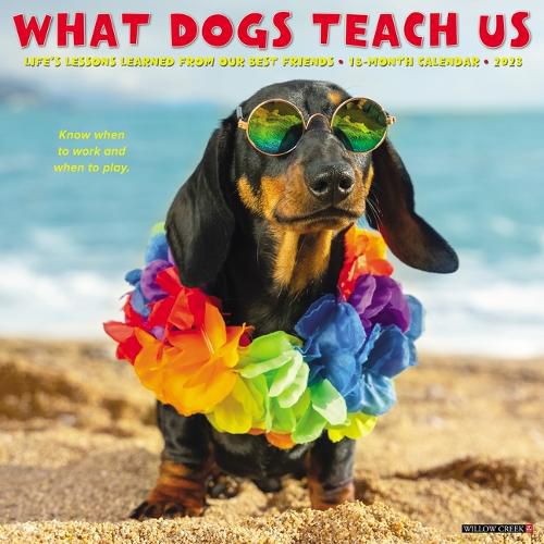 Cover image for What Dogs Teach Us 2023 Wall Calendar