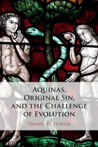 Cover image for Aquinas, Original Sin, and the Challenge of Evolution