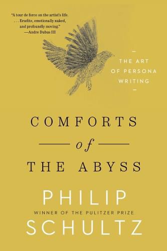 Cover image for Comforts of the Abyss