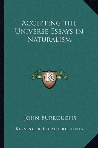 Cover image for Accepting the Universe Essays in Naturalism