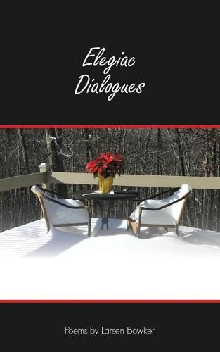 Cover image for Elegiac Dialogues