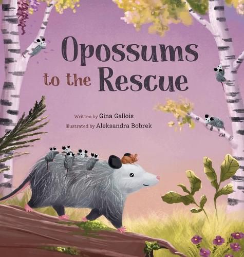 Cover image for Opossums to the Rescue