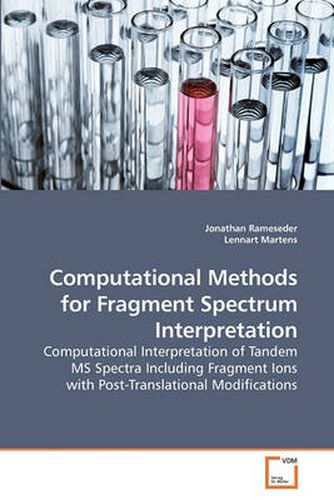 Cover image for Computational Methods for Fragment Spectrum Interpretation