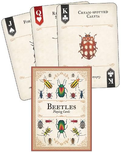 Cover image for Beetles Playing Cards