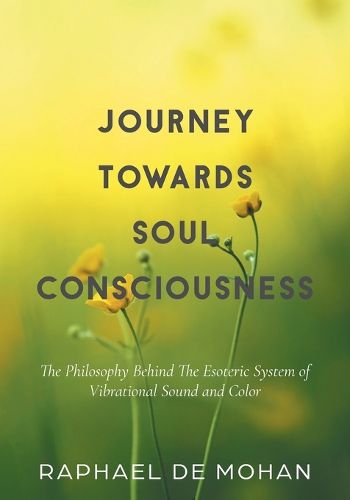 Cover image for Journey Towards Soul Consciousness